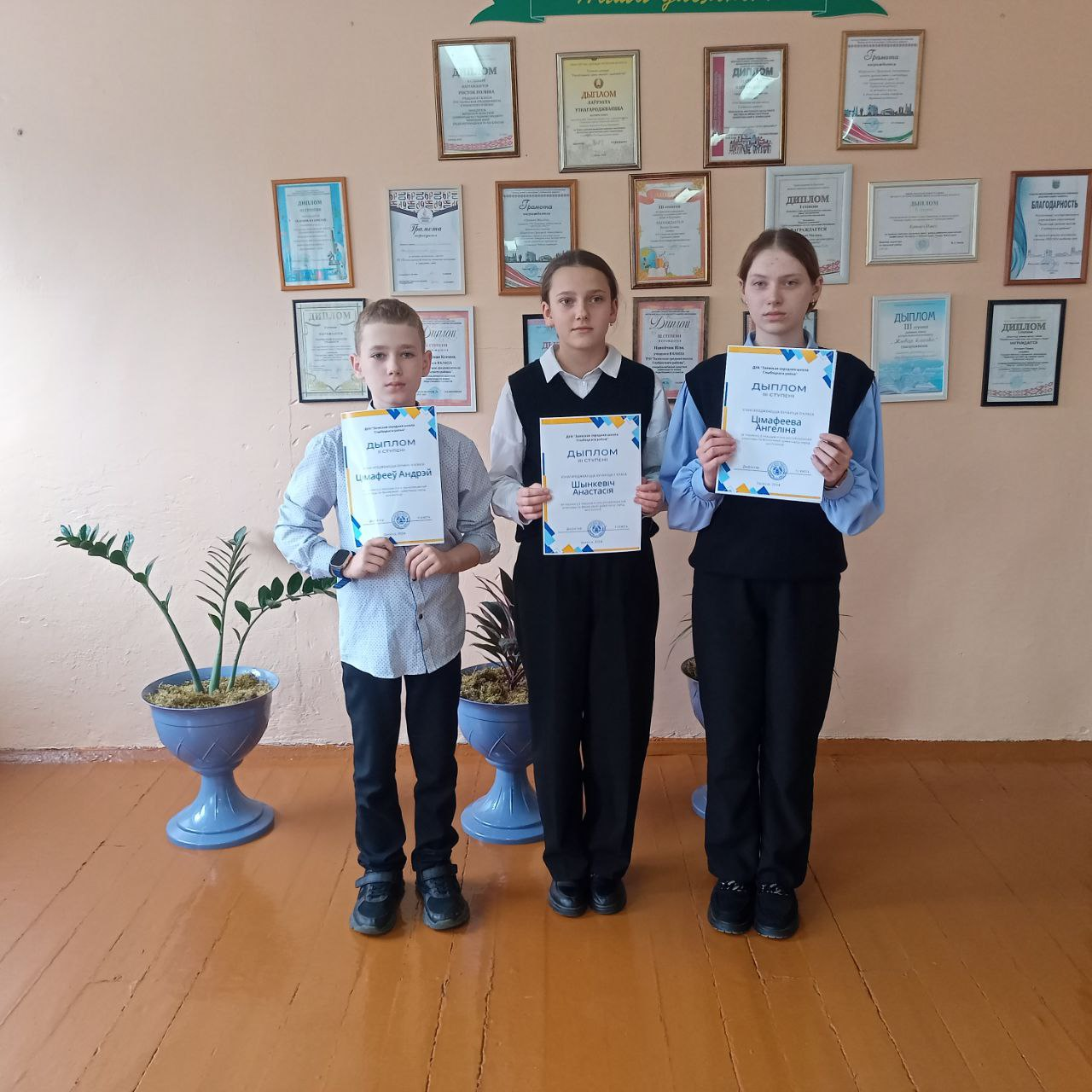 fin gr 2024